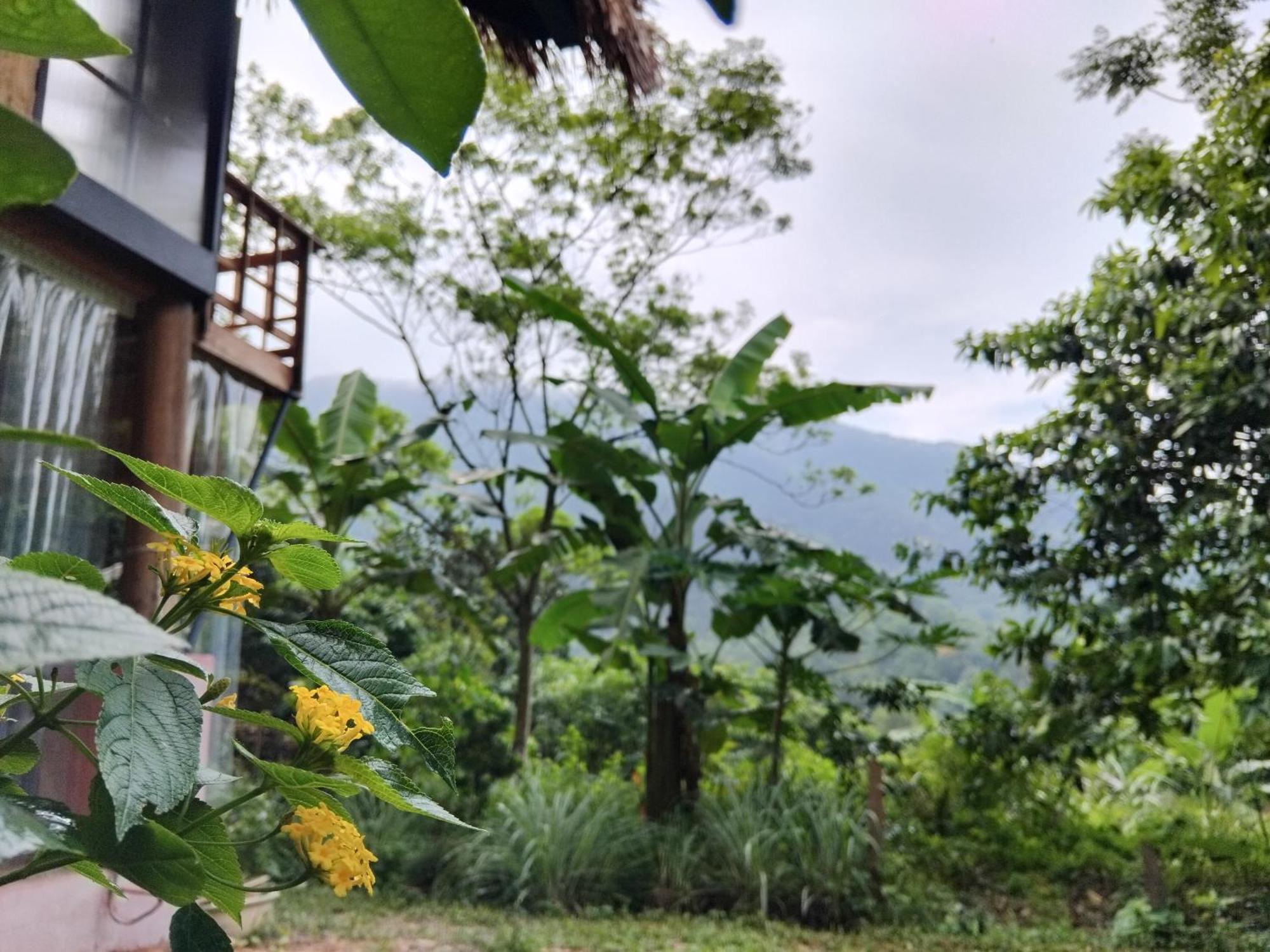 Campsite La Vie Est Belle - Wellness, Yoga And Meditation