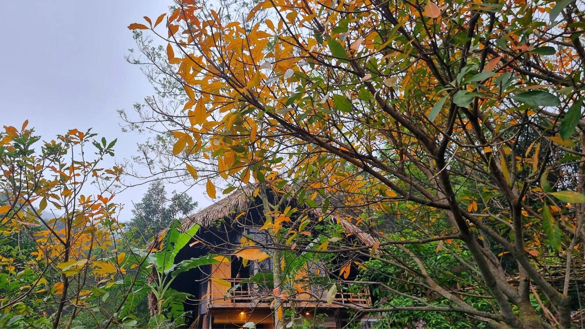 La Vie Est Belle - Wellness, Yoga And Meditation * Hanoi