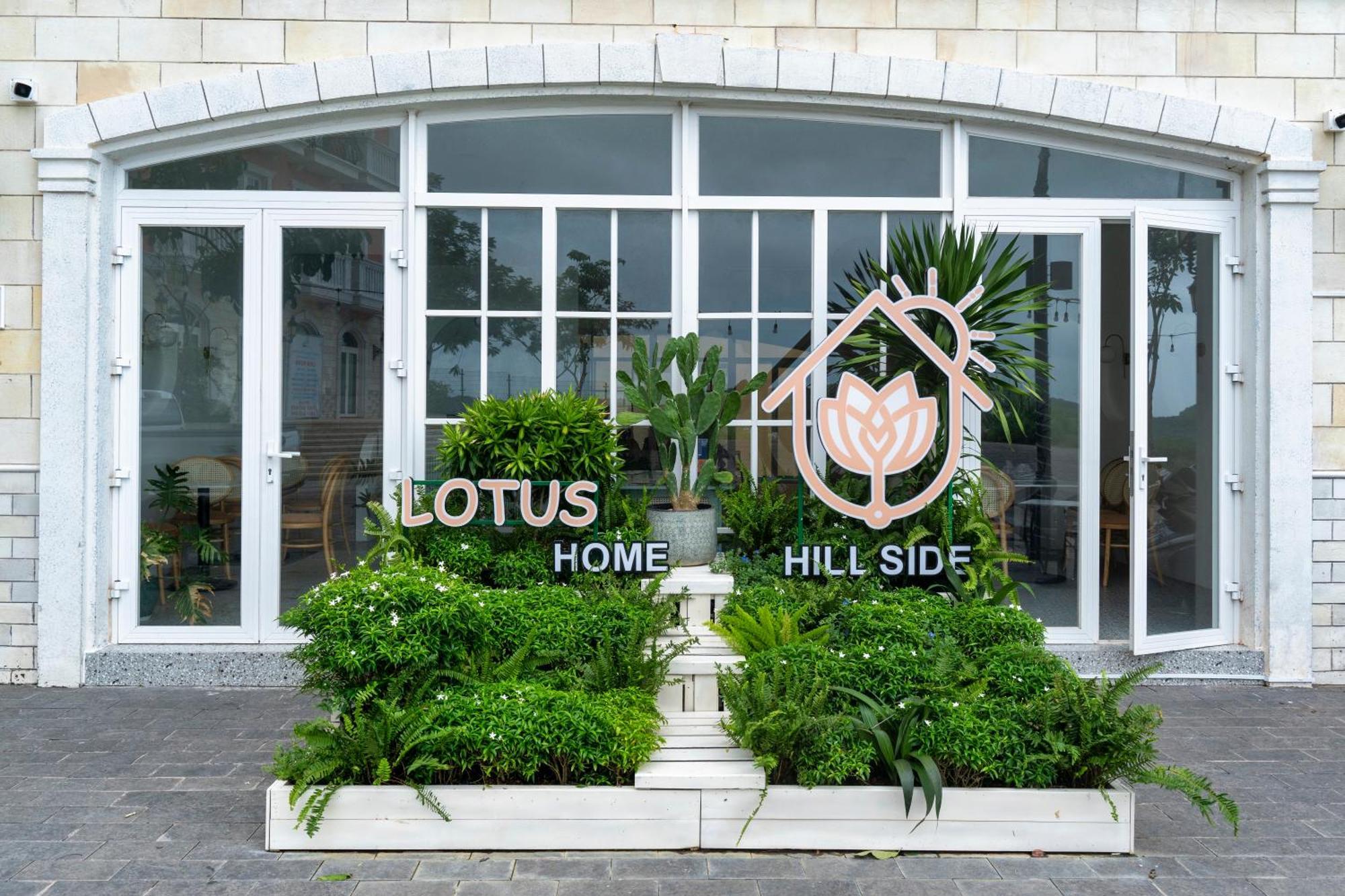 Lotus Hillside