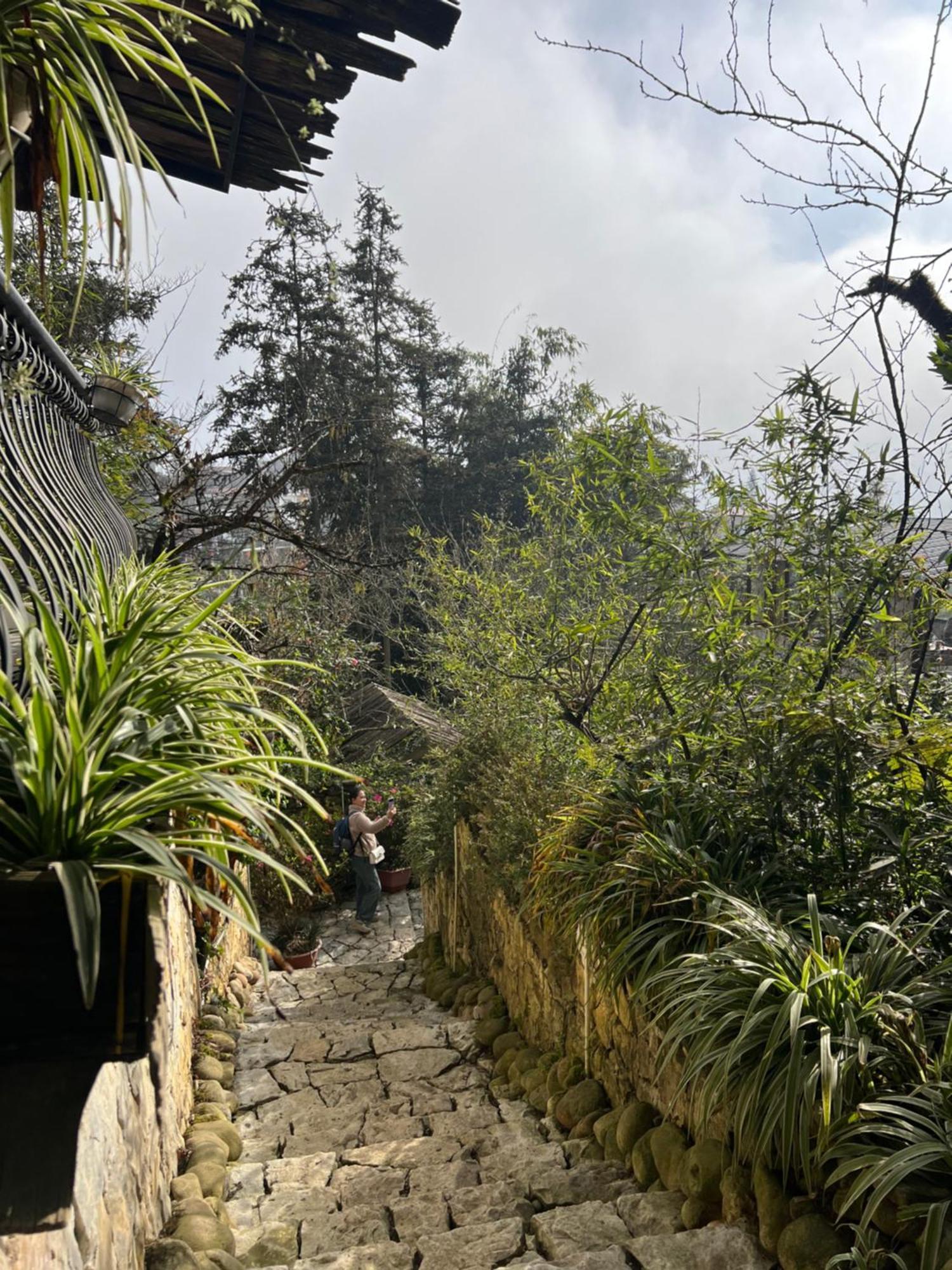 Green Villa Sapa Sa Pa