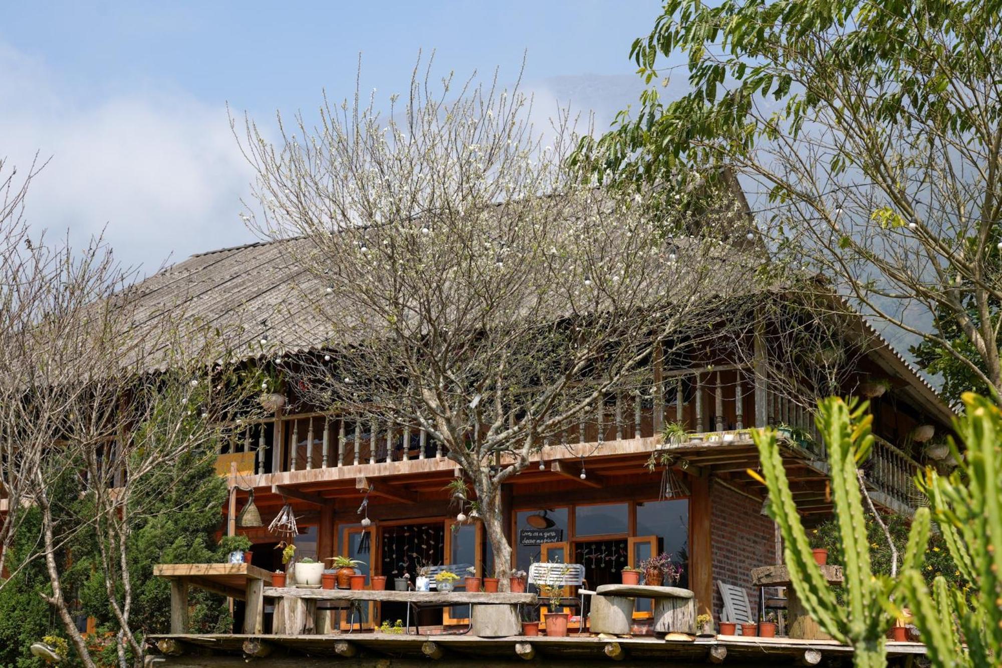 La Beaute Homestay *