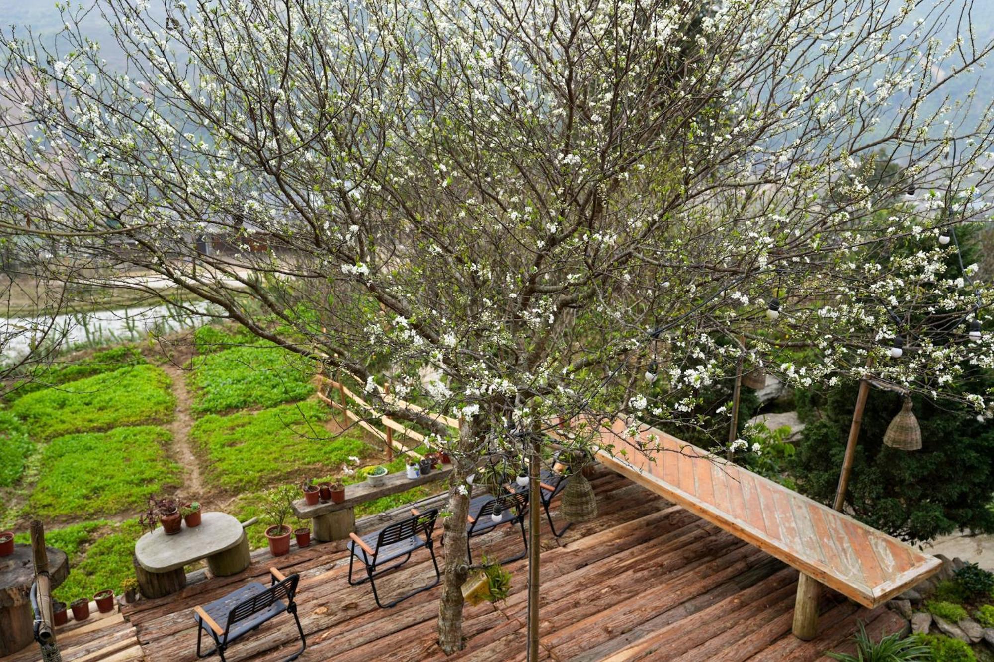 La Beaute Homestay