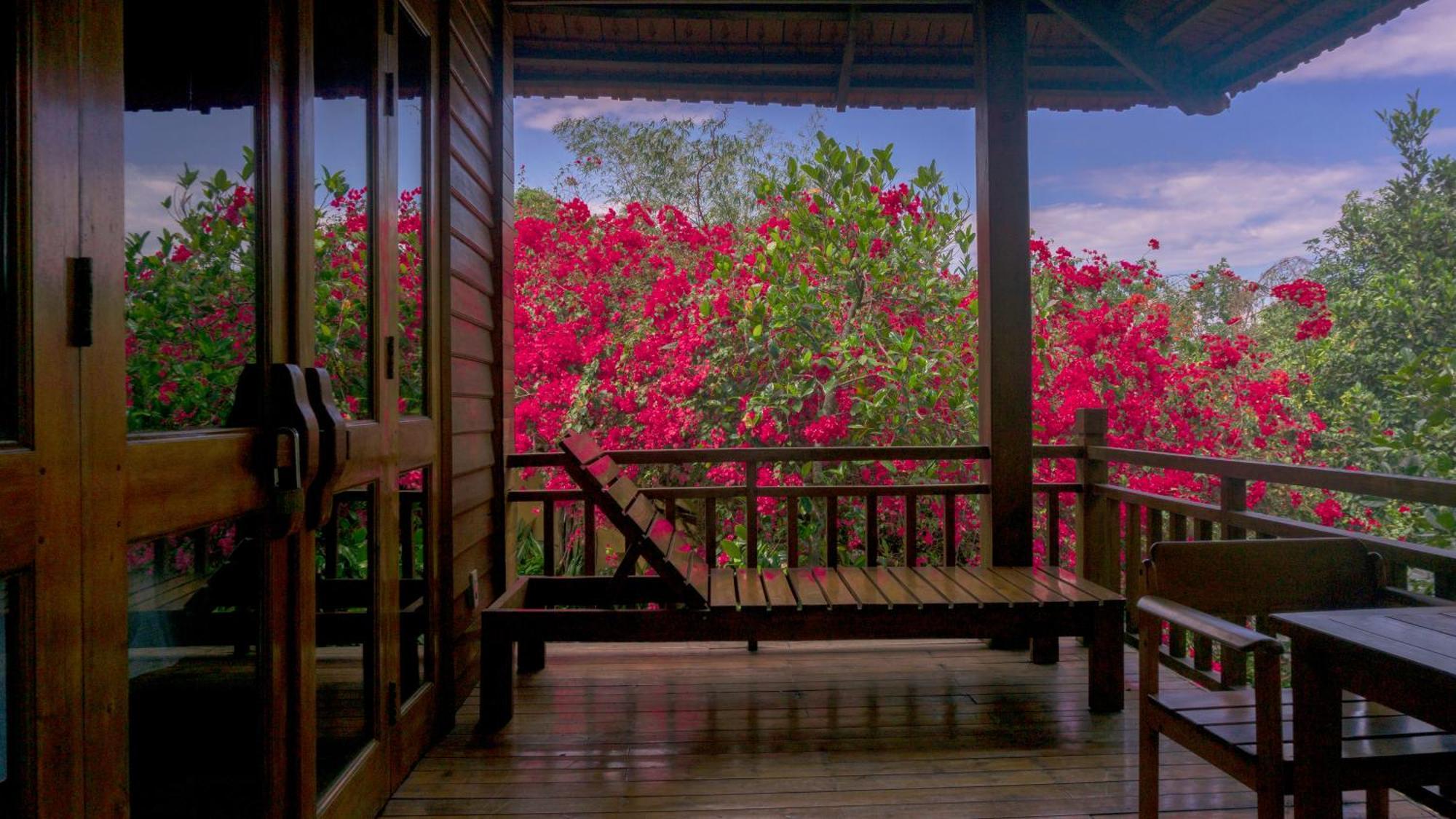 Mango Phu Quoc