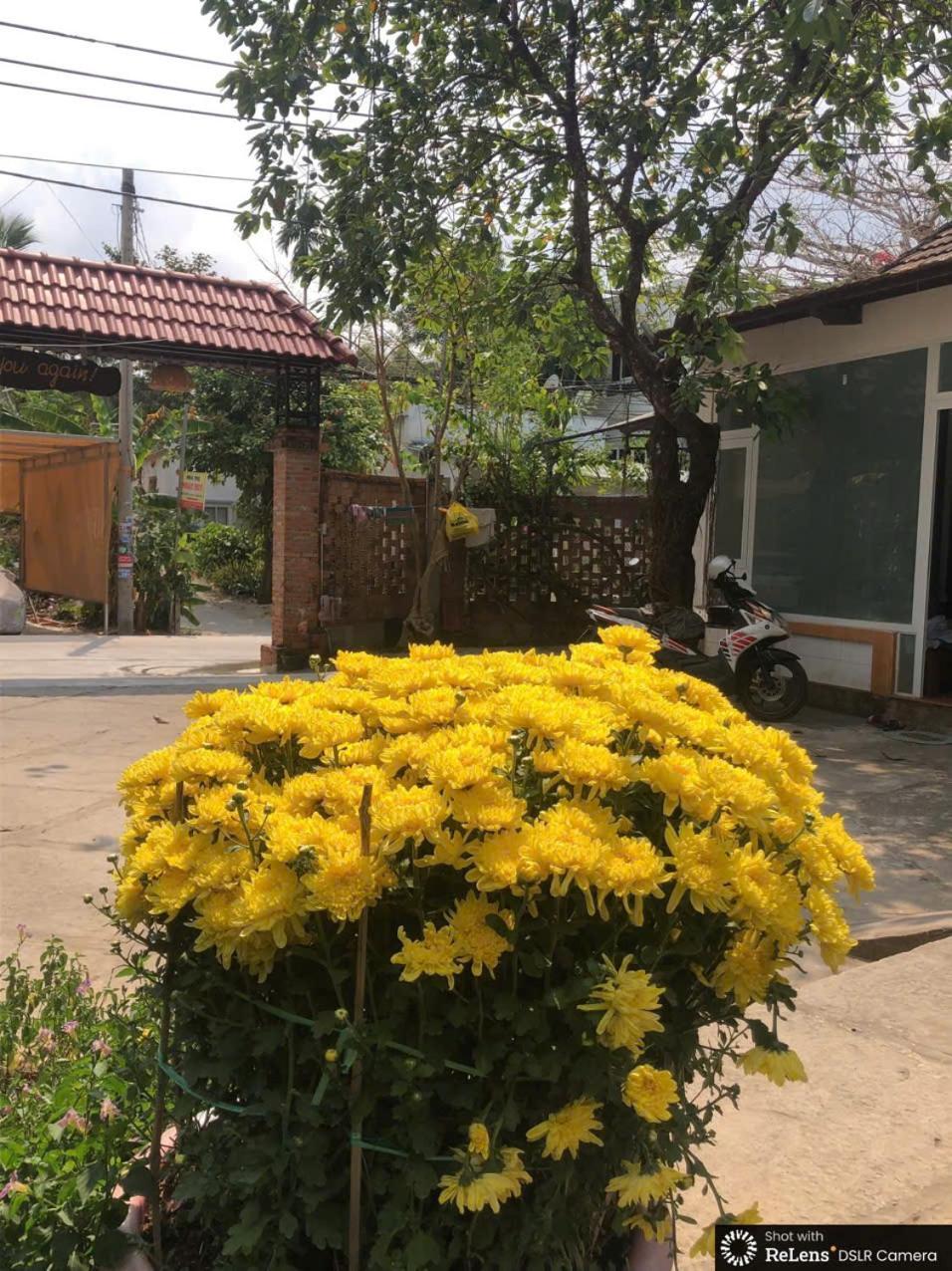 Gecko House Resort Phu Quoc