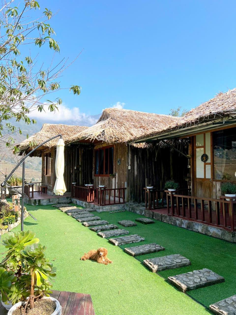 Bed & Breakfast Eco Hugo Sa Pa