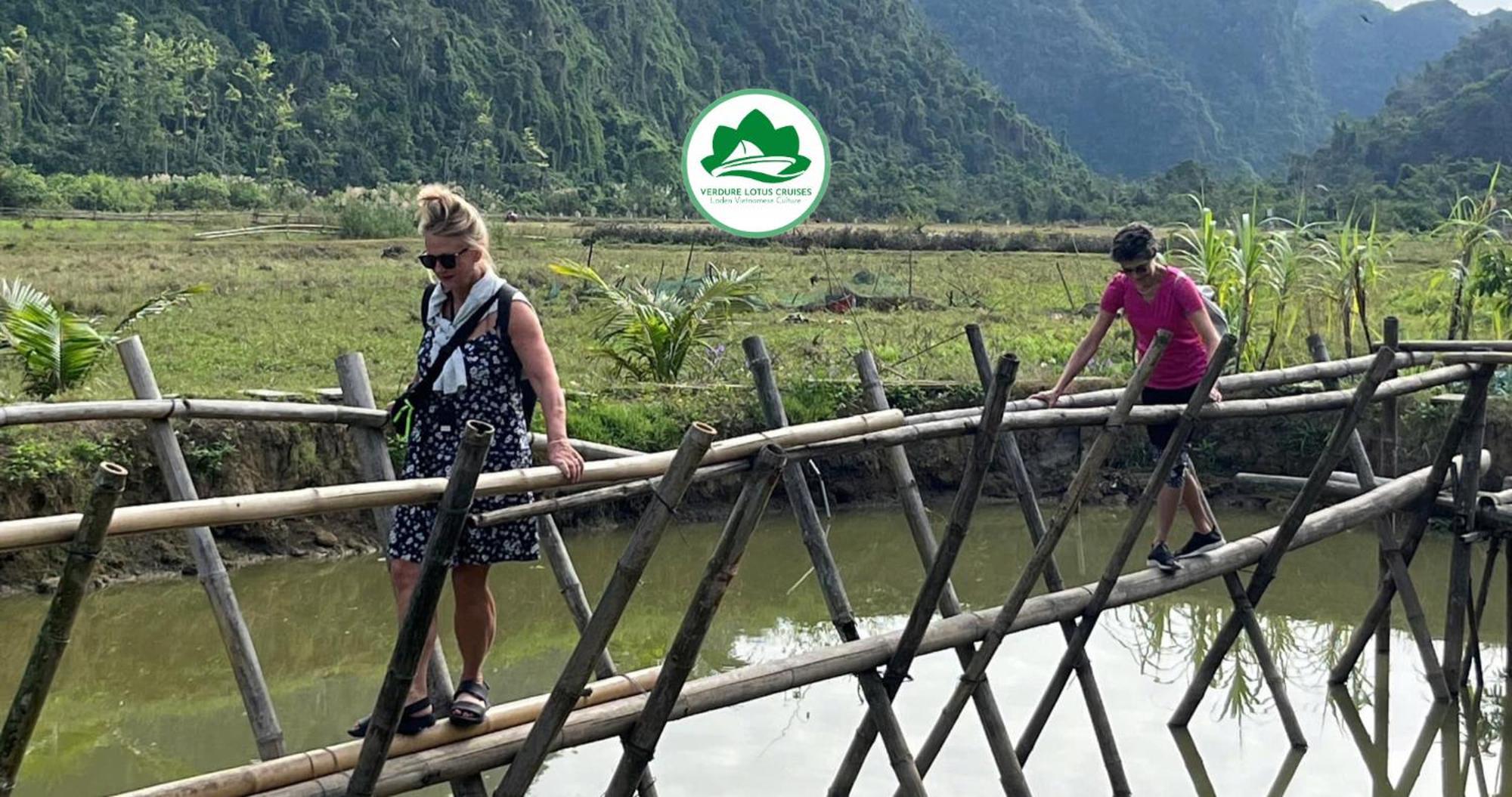  Verdure Lotus Classic Cruise On Lan Ha Bay