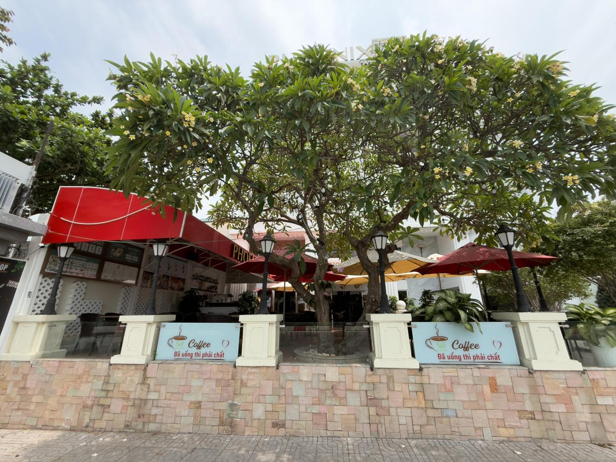 Phoenix Hotel Vung Tau