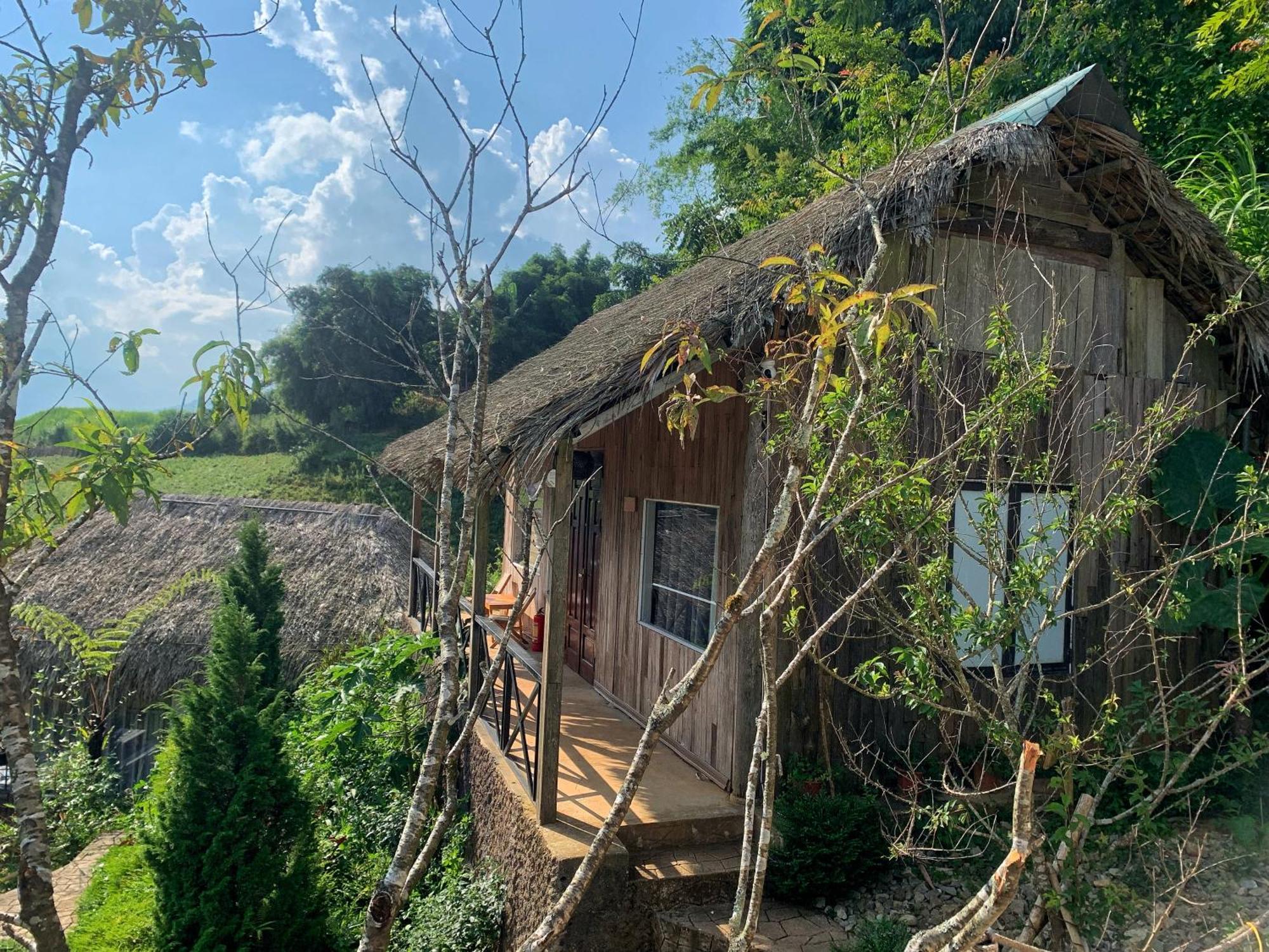 Bed & Breakfast La Rosa House