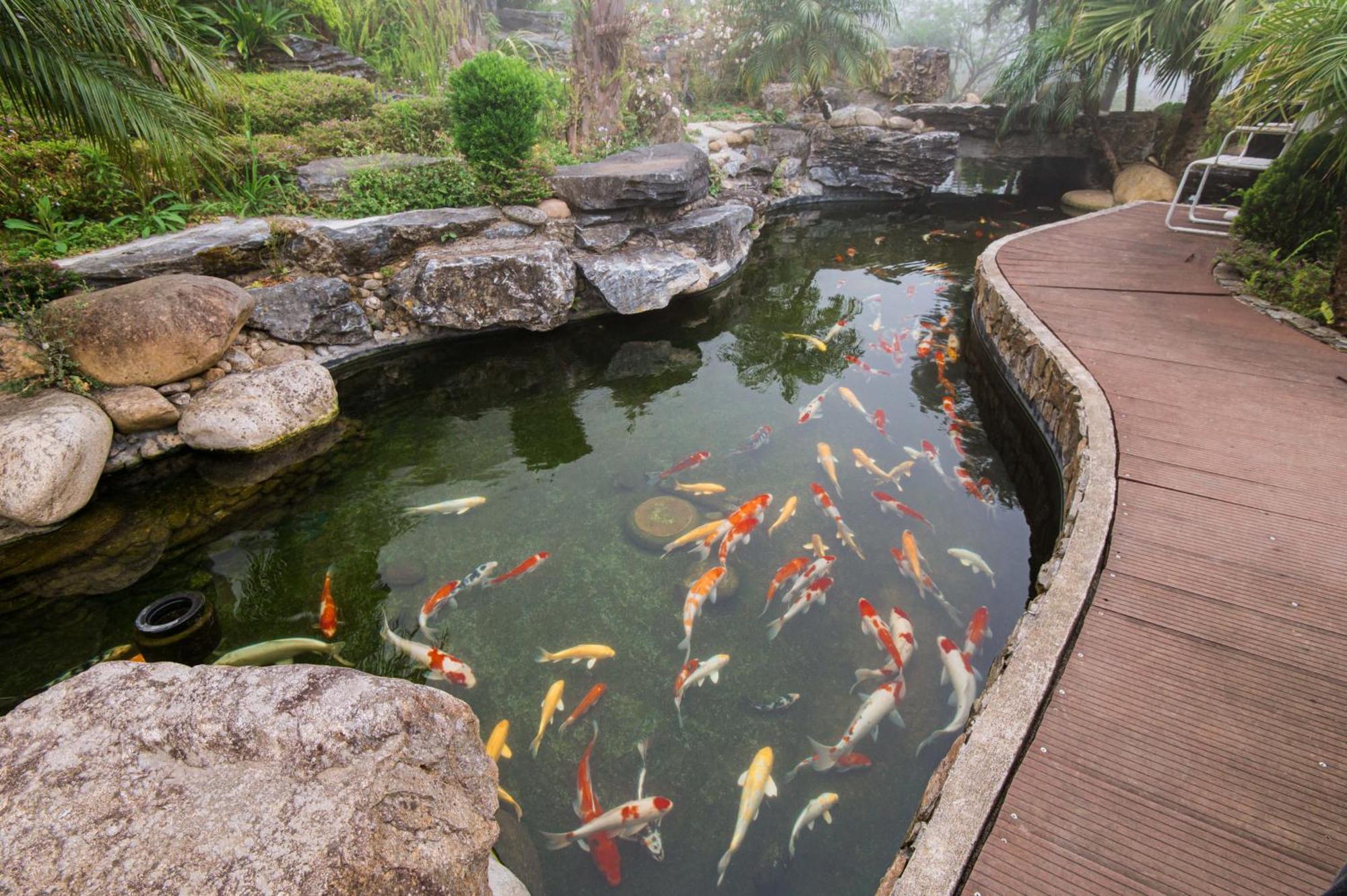 Catcat Hills & Resort Sa Pa