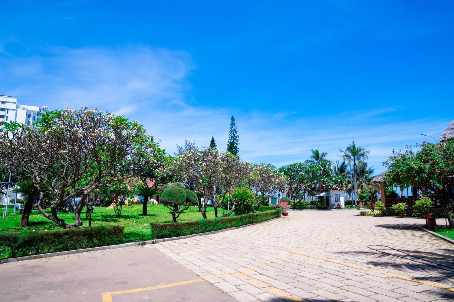 Lotus & Vung Tau