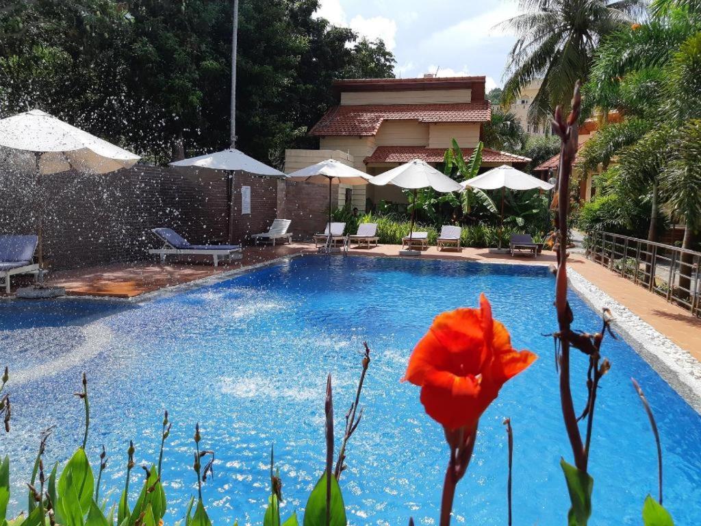 Castaways Resort