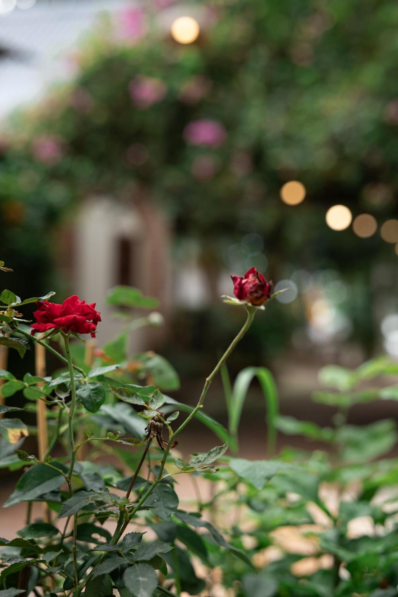 Canaan Resort