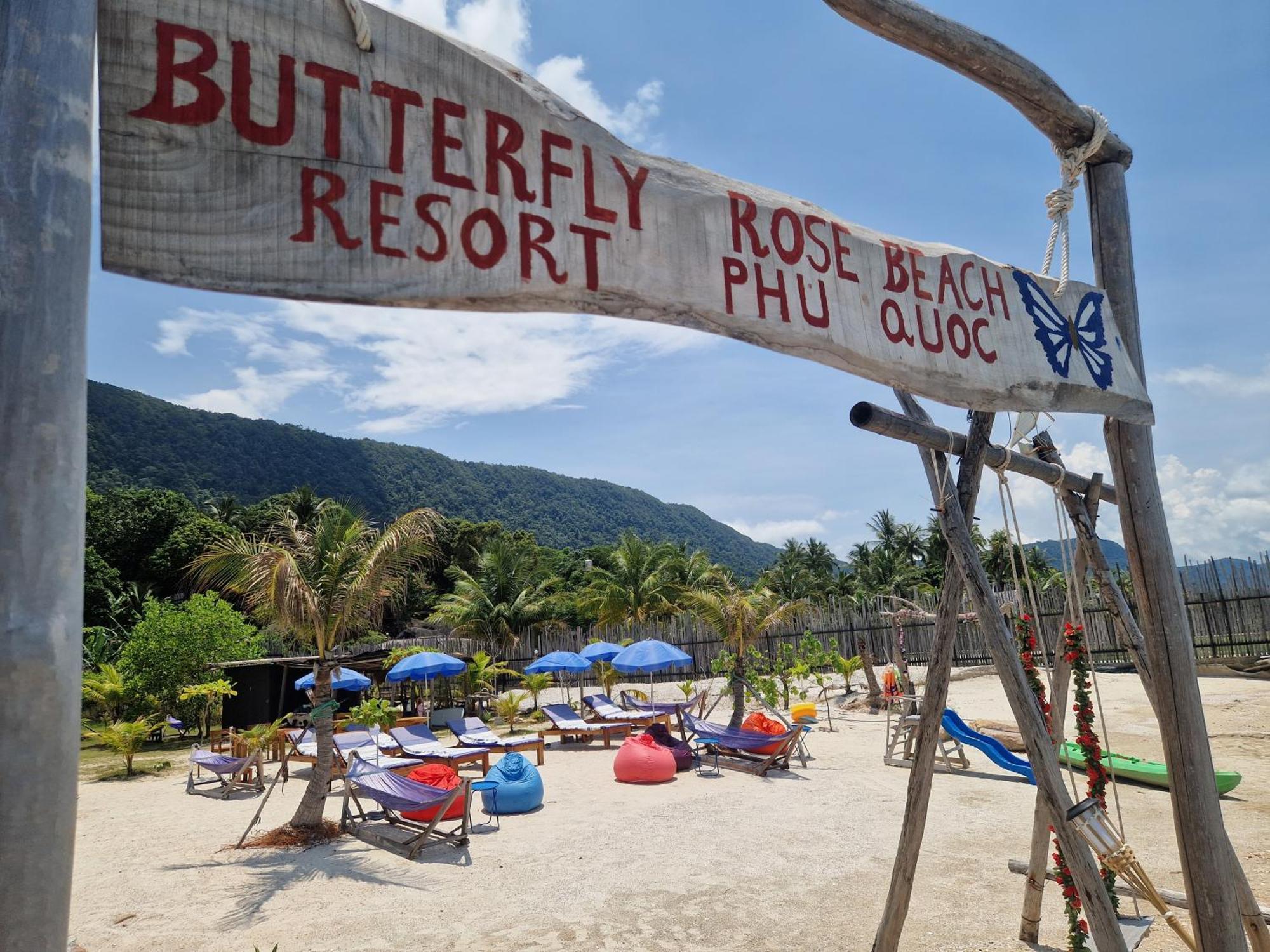 Butterfly Rose Francophone