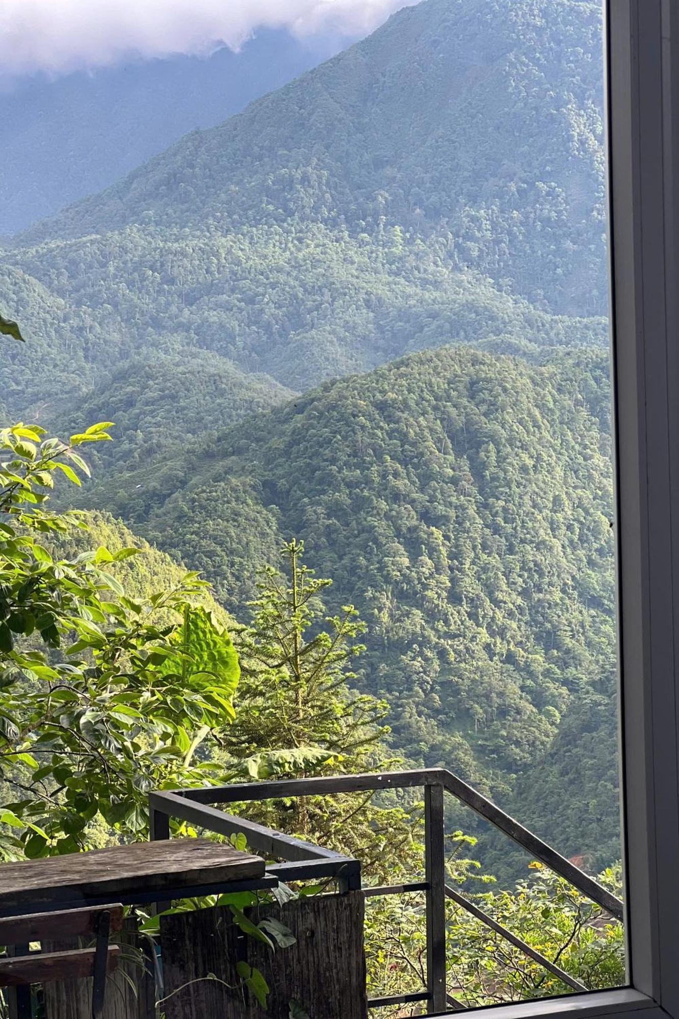 Catcat Garden House Homestay
