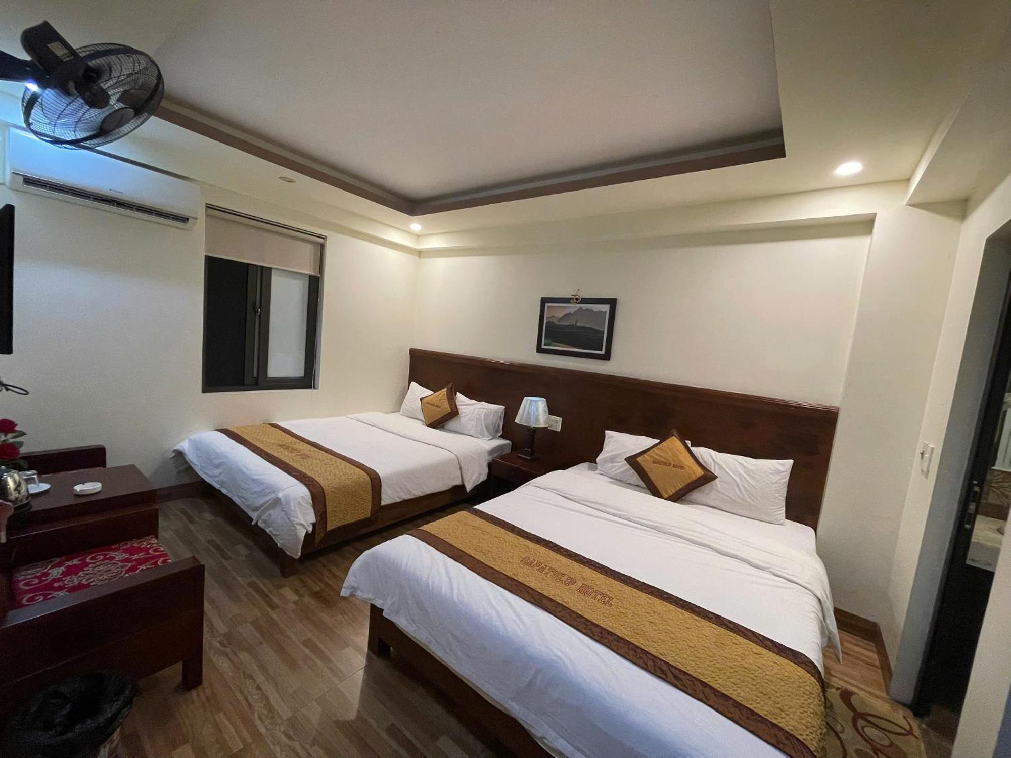 Tulip Hotel 2*