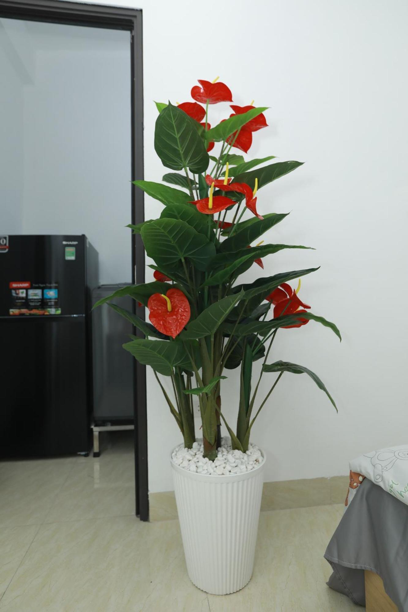 Apartment Chill House 702tm3 Hanoi