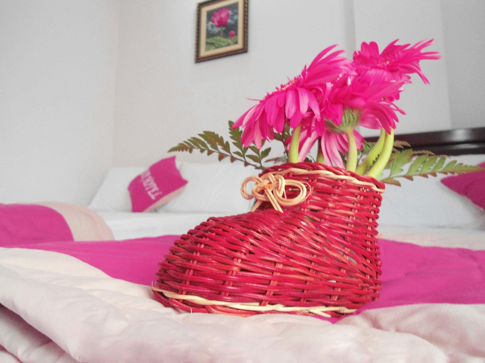 Hotel Fulmar 2*