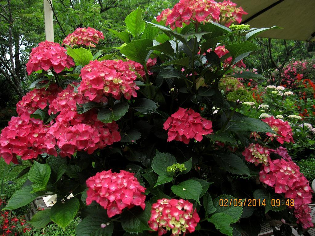 Garden Bed & Breakfast Sa Pa
