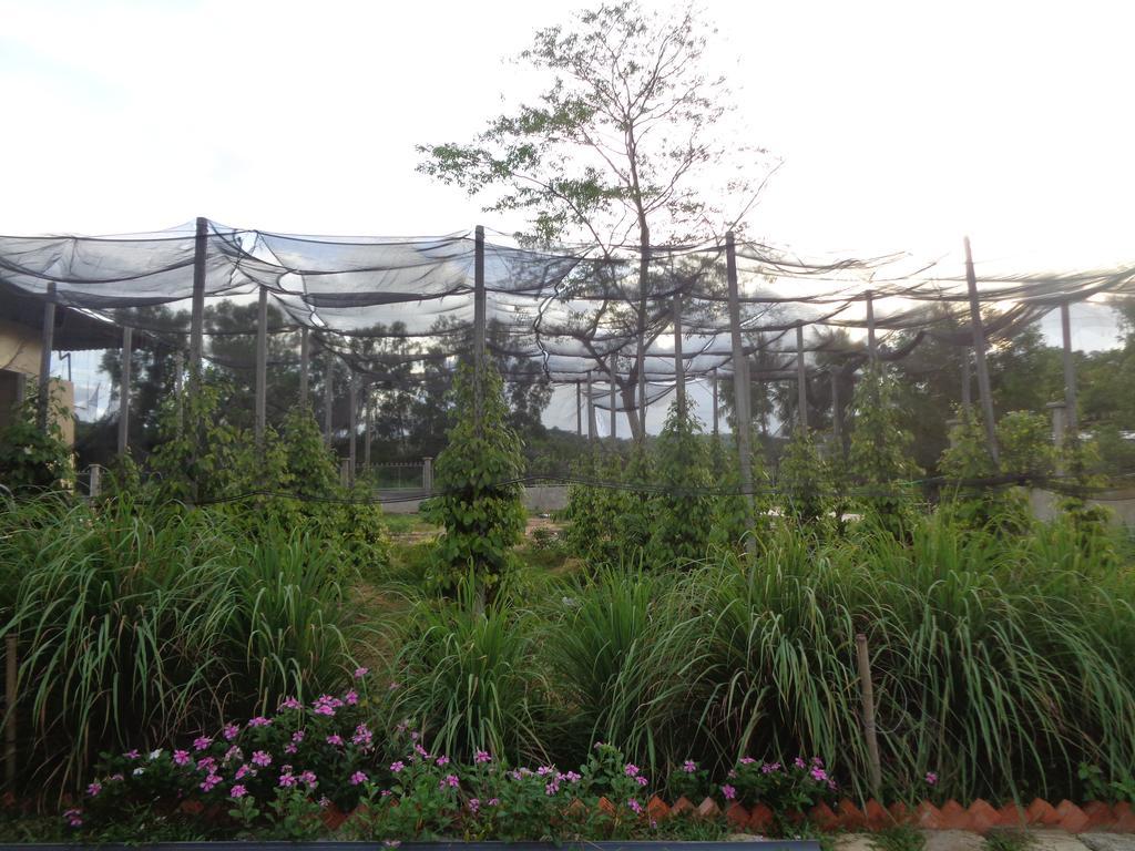 Guest house Ninila Fruit Farm *