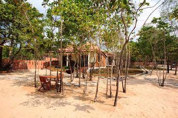 Wild Resort