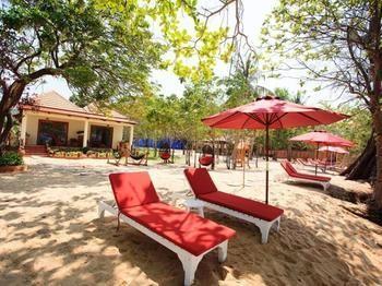 Wild Resort
