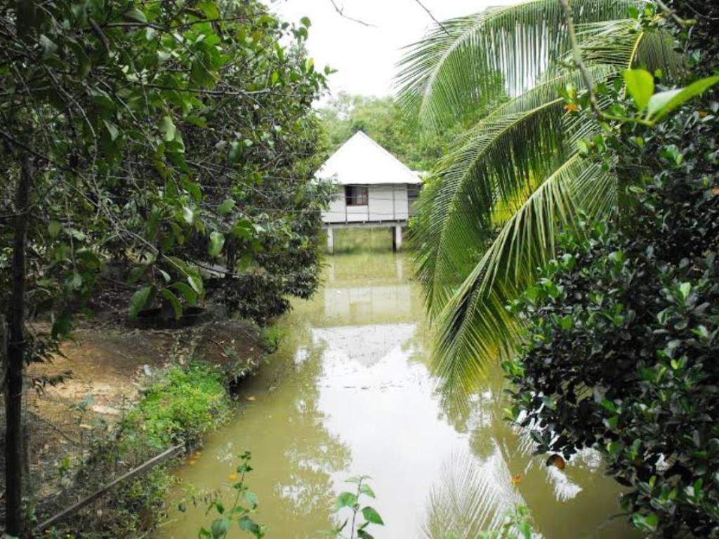 Ut Phuong Ecological Garden *