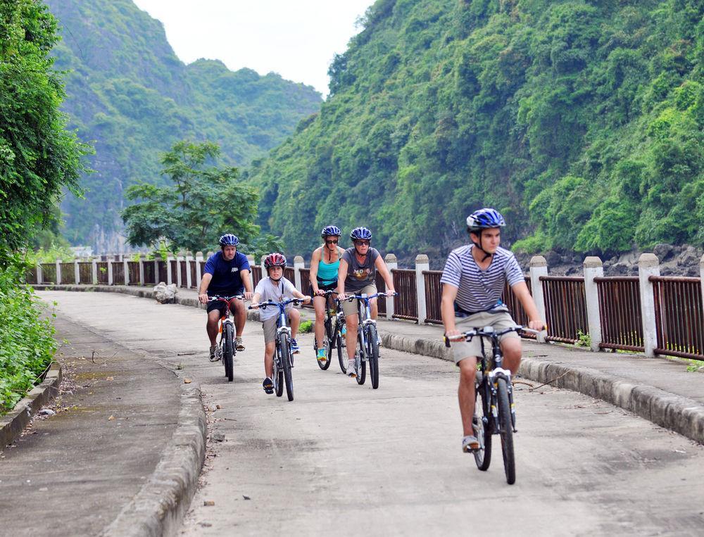 Bhaya Halong Cruises 5* Ha Long