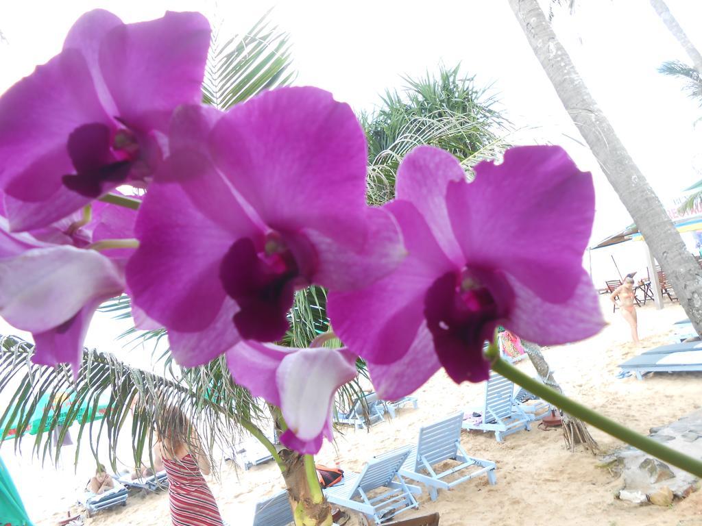 Hotel Phuong Binh House Phu Quoc