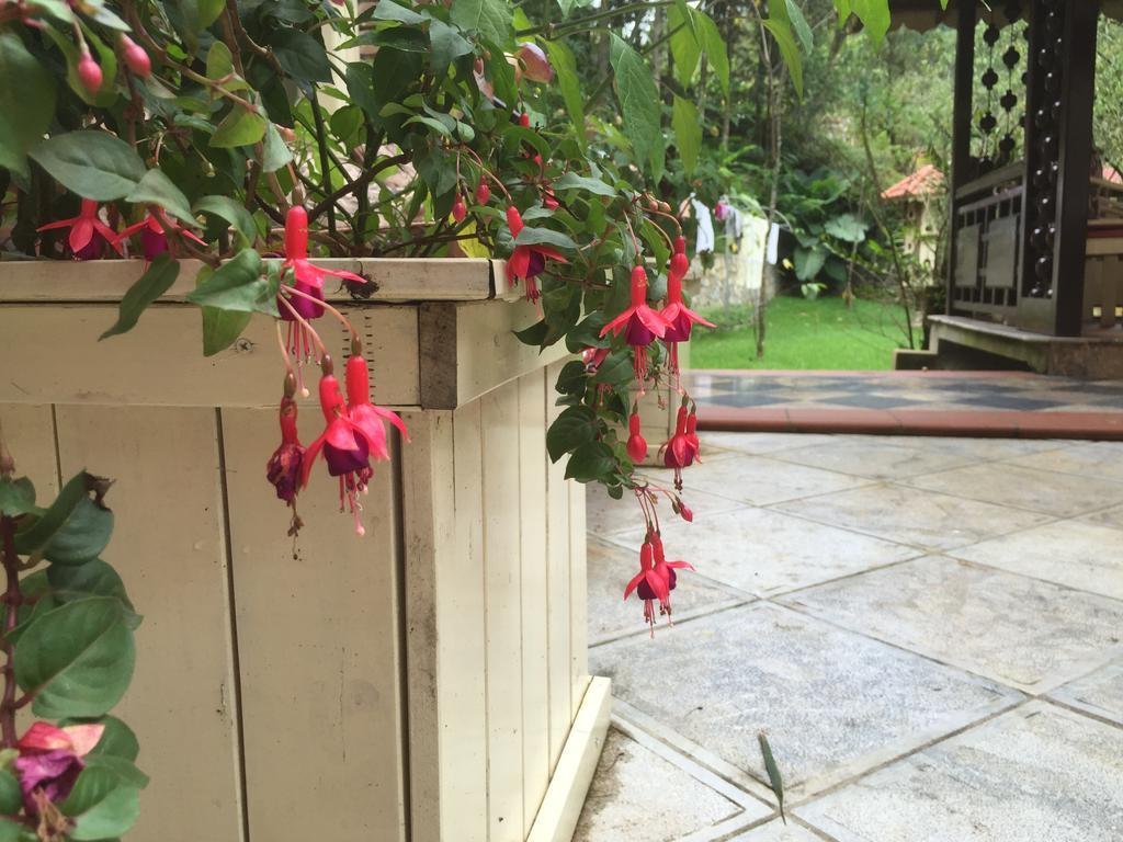 Garden Bed & Breakfast