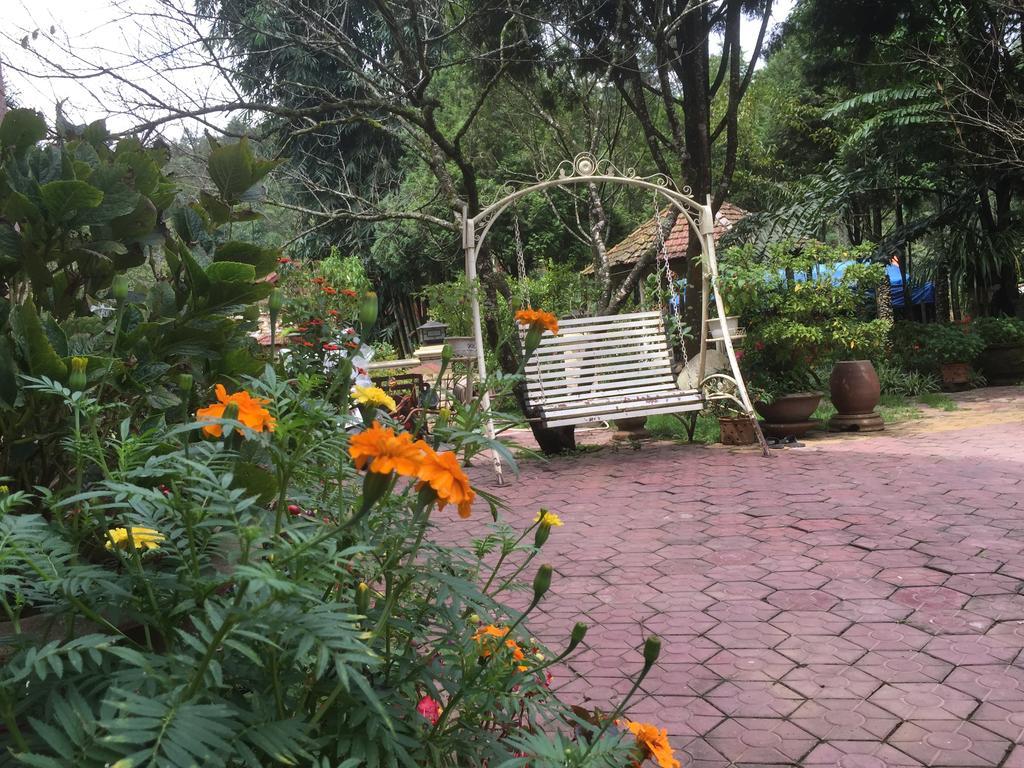 Bed & Breakfast Garden