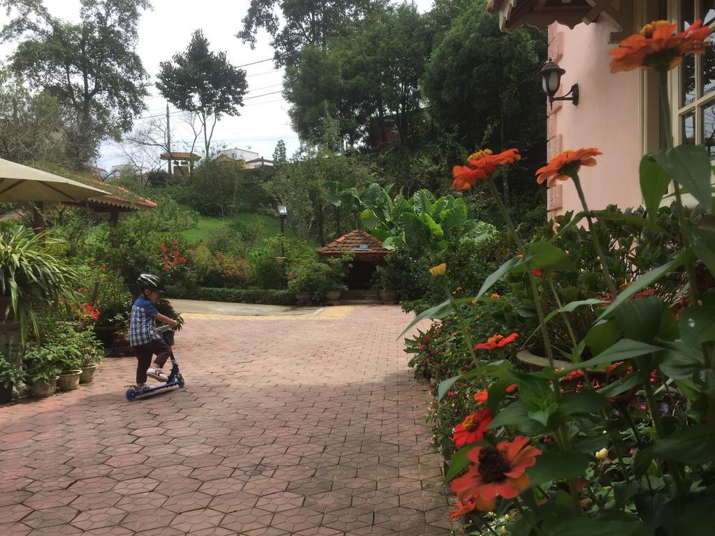 Garden 2*
