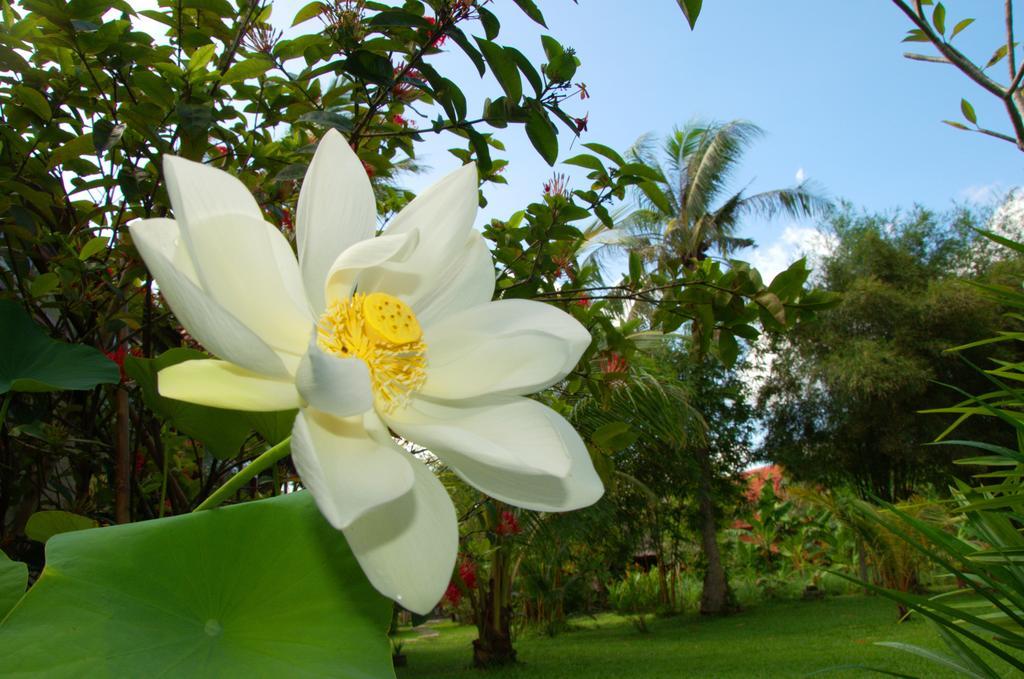 Resort Mai Phu Quoc