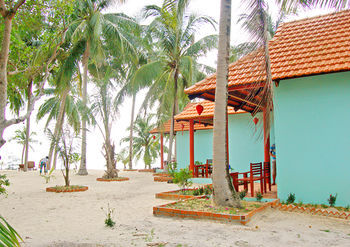 Kiki Coconut 2*
