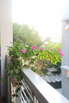 Quan Quan Hotel Da Nang