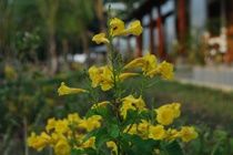 La Casa 3* Phu Quoc