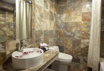Vian Hotel 3*