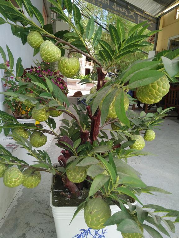 Song Xanh Bungalow Resort
