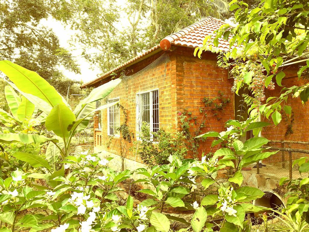 Guest house Giraffa 2*