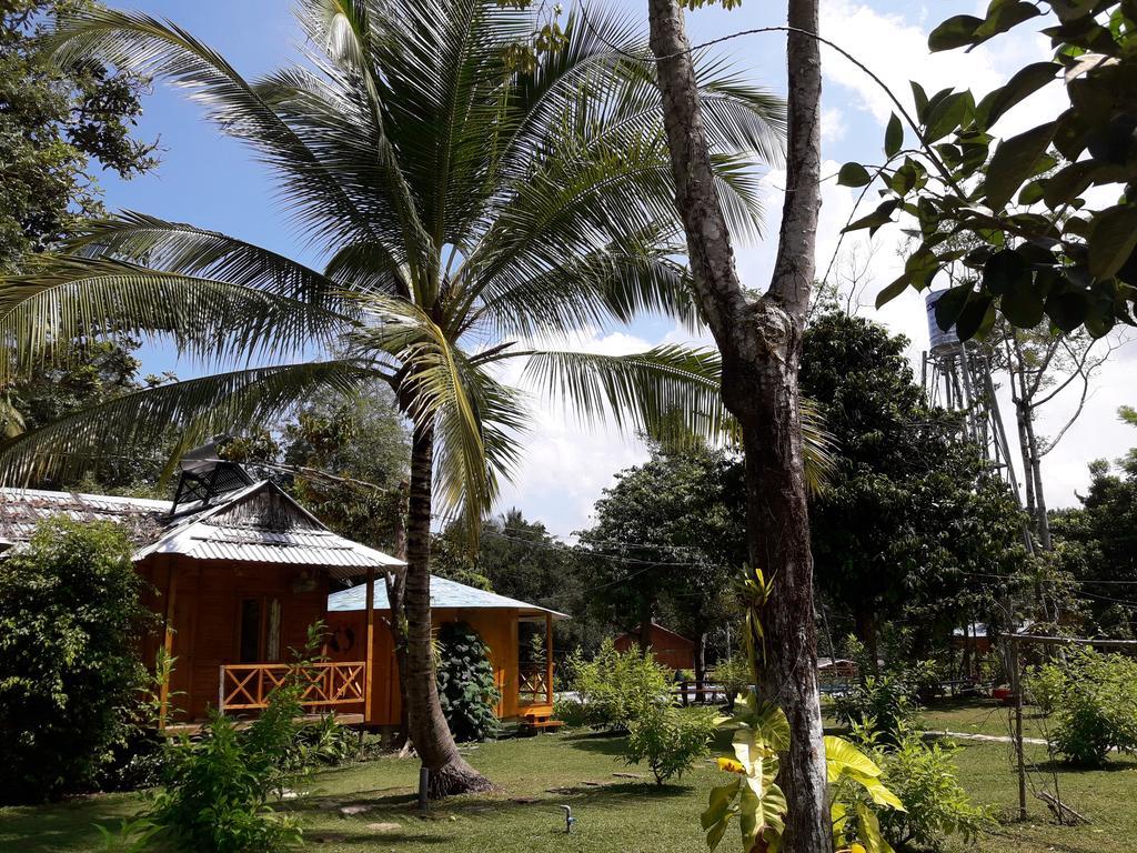 Giraffa Guest house