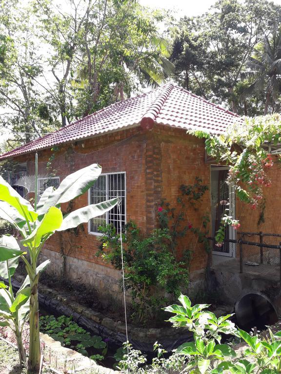 Guest house Giraffa 2*