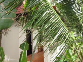 Mai Resort