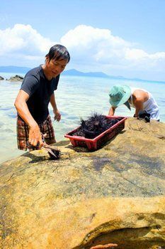 Freedomland Phu Quoc 2*