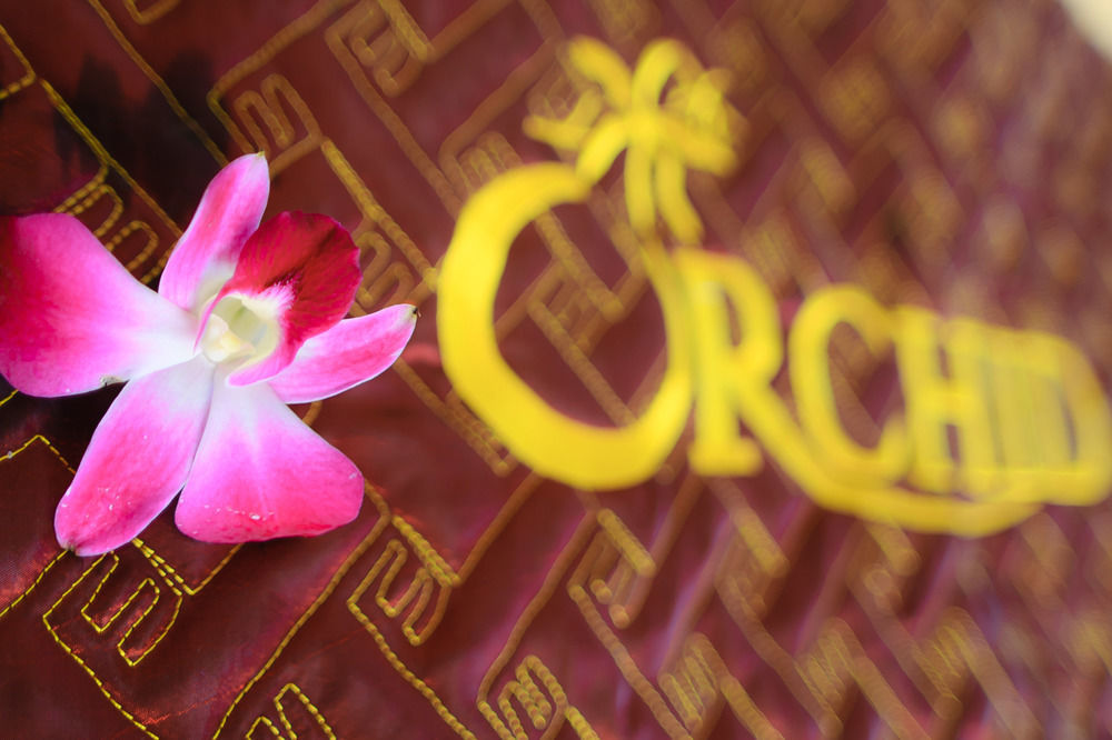 Orchid