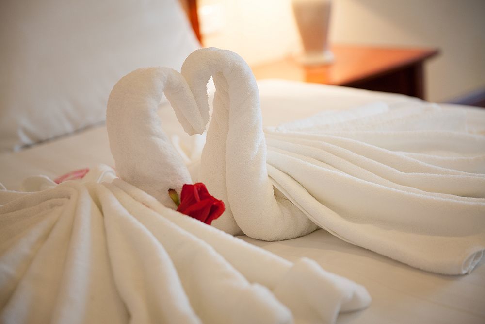 Hotel Cwd