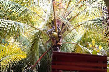 Freedomland Phu Quoc 2* Phu Quoc