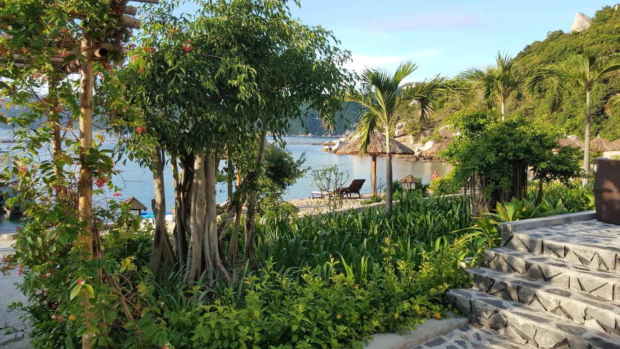 The Light Coral Island 3*