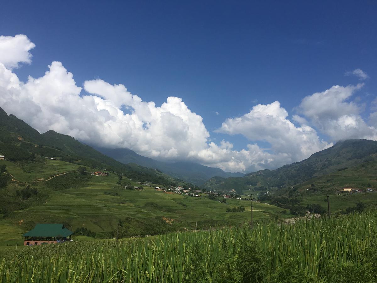 Hoa's Homestay
