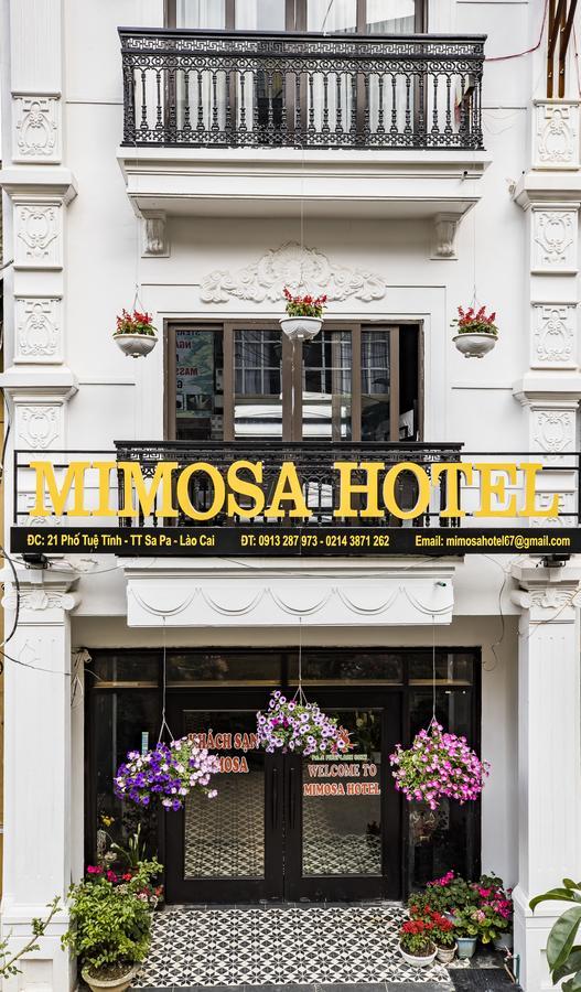 Mimosa Hotel Sa Pa