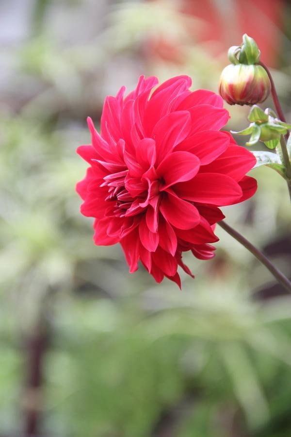 Khách sạn Aroma