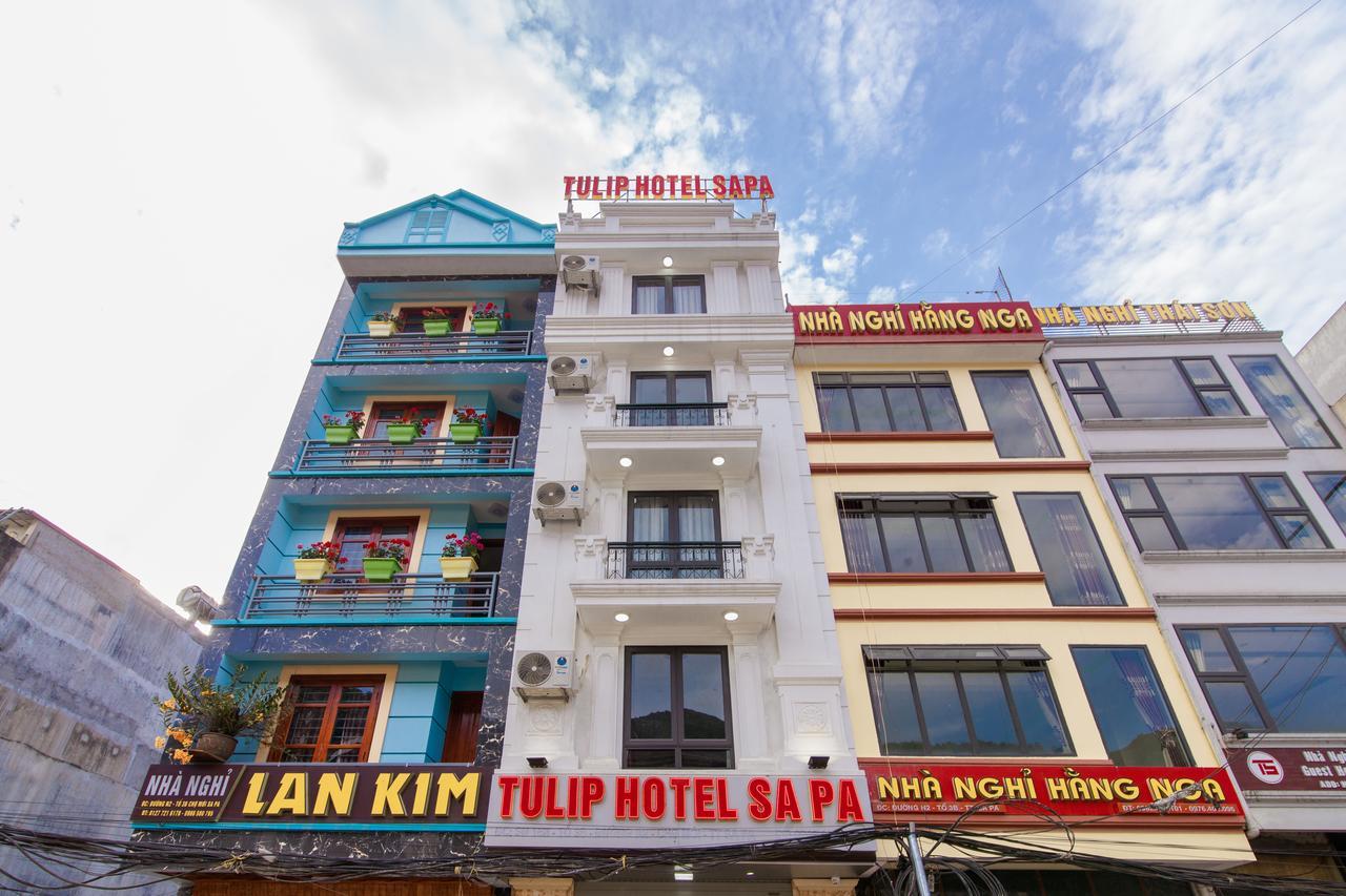 Hotel Tulip 2*